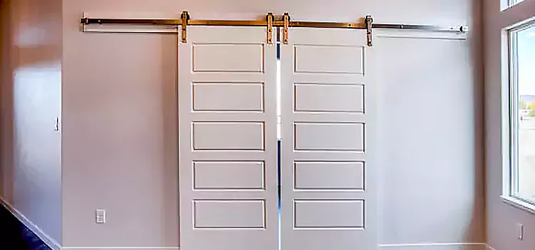 Glass Barn Door with Installation Hardware Kit Passaic