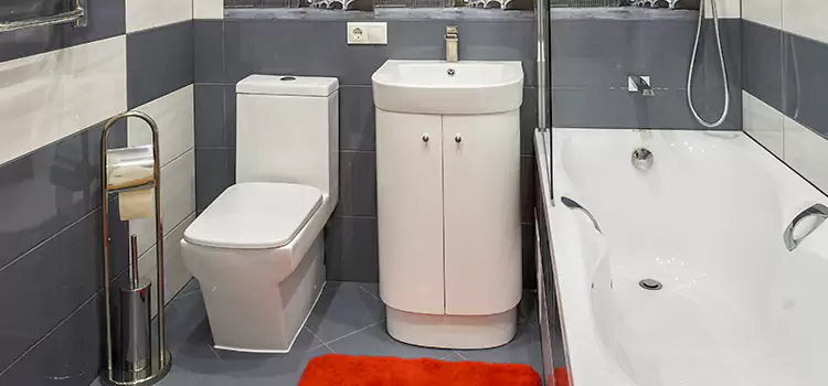 Hansgrohe Shaving Mirror Passaic
